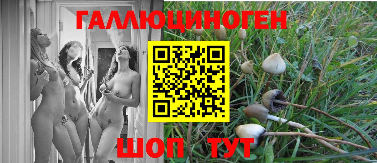 Галлюциногенные грибы Cubensis  Вход с VPN  Выкса 
